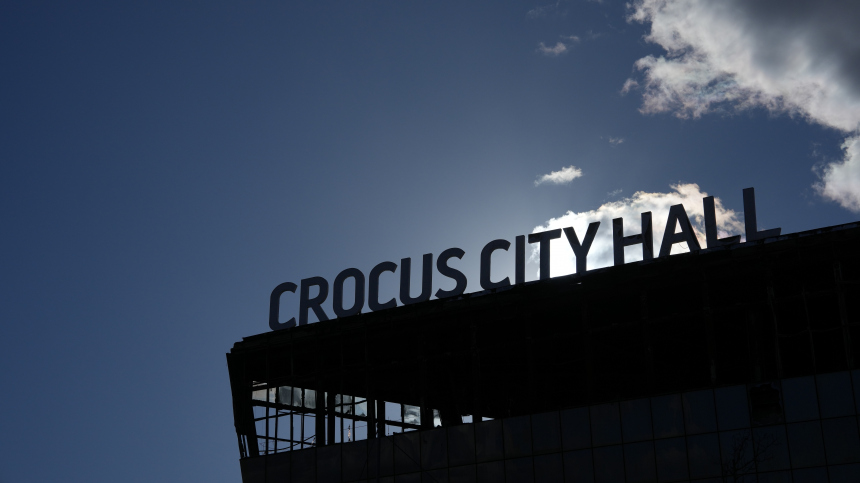 Сотрудники МВД спилили дерево, чтобы снять террориста из Крокуса с него