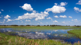 Польша и Финляндия намерены восстановить приграничные болота для защиты от России
