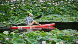 Лотосовые поля и малиновые озера: Топ-10 красивых мест России