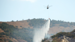 Площадь природных пожаров в Краснодарском крае превысила 11 гектаров