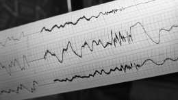 В Каспийском море у побережья Дагестана произошло землетрясение