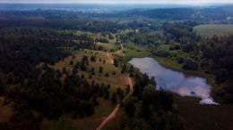 В Кемерове может исчезнуть знаменитый Рудничный бор