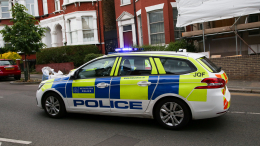 Хочу твой бамбук: жительница Великобритании избежала тюрьмы за домогательство