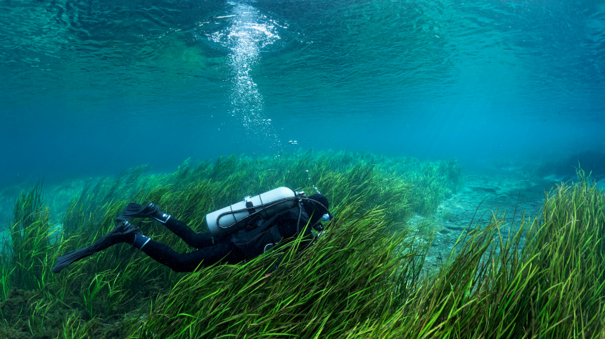 Дайвер нашел на дне реки останки супругов и раскрыл детали их пропажи