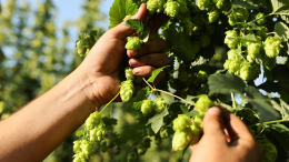 «Балтика» завершила научную экспедицию в Горный Алтай