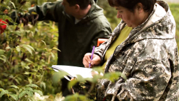 Нужен хмель: ученые и специалисты «Балтики» искали на Алтае перспективные сорта
