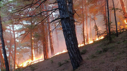 Более 20 человек оказались в дымовой ловушке из-за пожара под Геленджиком