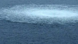 Украинская спортсменка Чернышова могла участвовать в подрыве «Северных потоков»