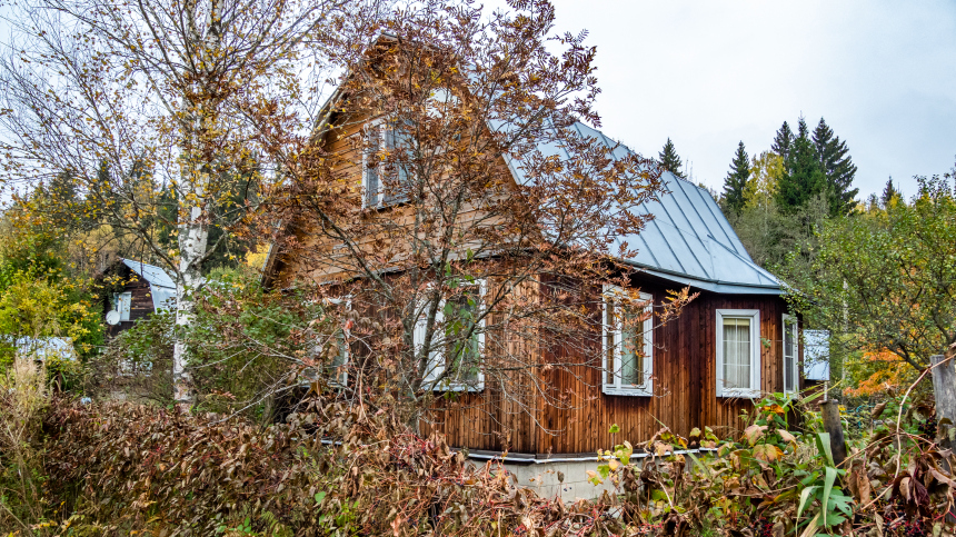 «Потенциально опасны»: как правильно утилизировать зараженные дачные растения в конце сезона