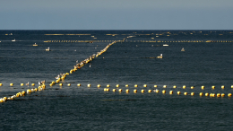 Болотный занавес: Польша и Финляндия хотят затопить восточную границу НАТО