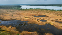 Останки на болоте: в Новом Орлеане раскрыли дело о загадочной гибели 12-летнего мальчика