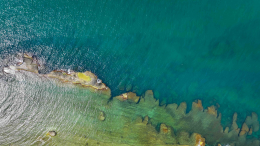 Токаев: ситуация на Каспийском море приближается к экологической катастрофе