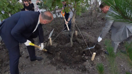 Добрая традиция: во Владивостоке высадили 80 деревьев в преддверии ВЭФ