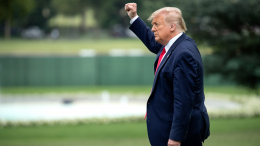 Трамп попросил Си Цзиньпина передать теплые пожелания Путину и Ким Чен Ыну