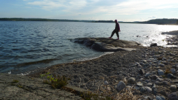 Уход корюшки и гибель нерп: чем грозит потепление воды в Ладоге