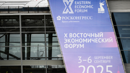 На остров Русский в рамках ВЭФ приехали эксперты из 70 стран