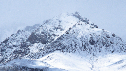 «Никакой руки там нет»: Виктория Боня рассказала о гибели Наговициной