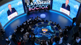 Путин поручил правительству утвердить план развития редкоземельной отрасли не позднее ноября