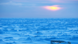 «Потенциал наших крупнейших рек»: Путин о развитии Трансарктического коридора