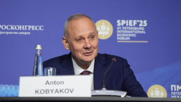 Кобяков заявил об отсутствии суверенности Европы в большой геополитической игре