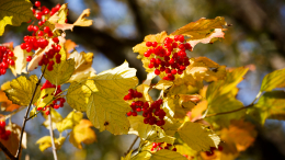 Адриан Осенний и Наталья Овсяница: что можно и нельзя делать 8 сентября