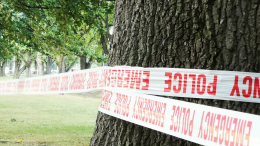 Драма в лесах Новой Зеландии: полиция нашла годами скрывавшегося с детьми отца