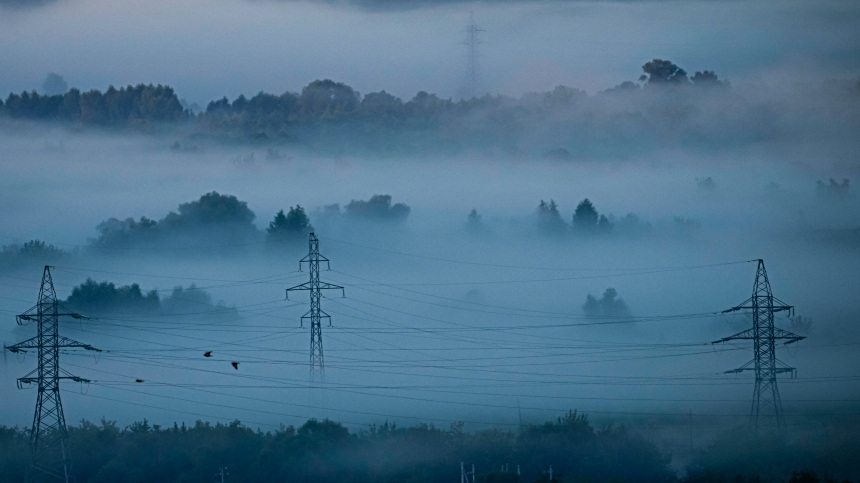 Малооблачность и влажность: в Подмосковье зафиксировали «радиационные» туманы