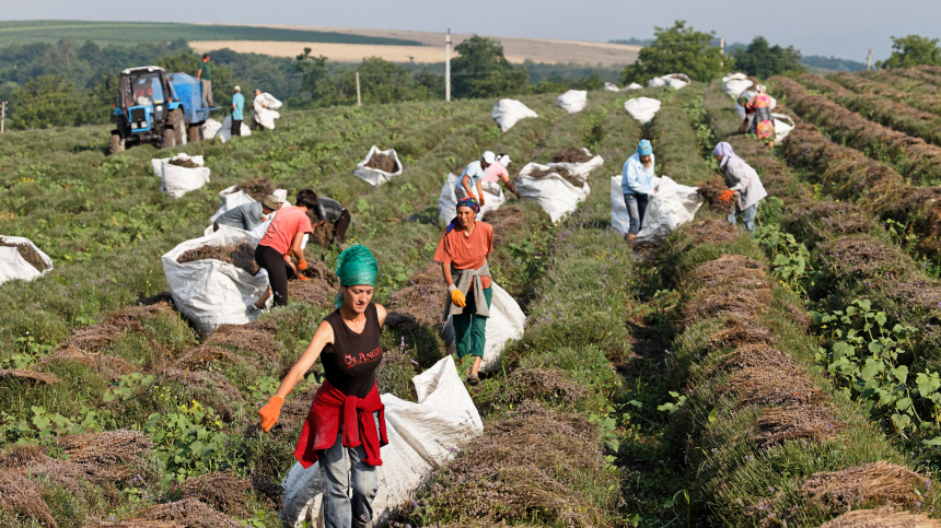 «Бедность ощущается в воздухе»: зачем в Молдавии продают предприятия Евросоюзу