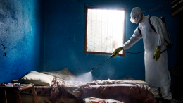 Развивается стремительно: в Африке выявлен вирус с высокой летальностью