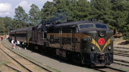 Погибла из-за наушников? Женщину сбил поезд во время прогулки с собаками