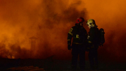 На крокодиловой ферме в Ейске случился пожар: выжили ли животные