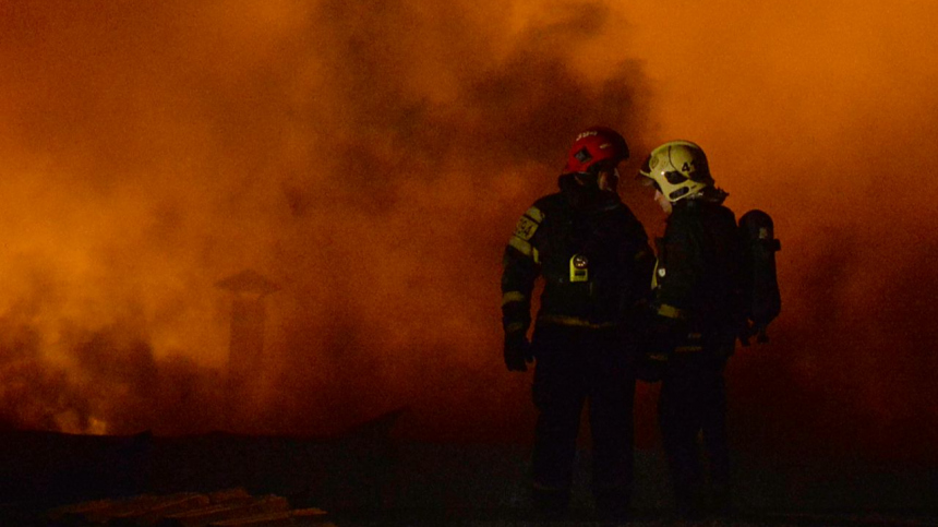 На крокодиловой ферме в Ейске случился пожар: что стало с животными