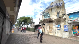 В Ейске из-за пожара в зоопарке погибли 28 крокодилов и одна черепаха