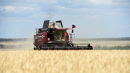 Патрушев: аграрии собрали уже почти 105 миллионов тонн зерна