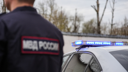 Закопанное в грядке с укропом тело мужчины нашли в Петербурге