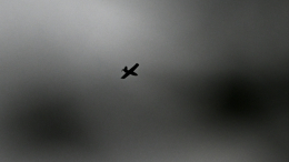 Сбитые в Польше дроны прилетели со стороны Украины