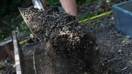 «Накормить» грядки: для чего нужны компост и гумус