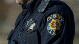 Мужчина замучил двух собак и убил защитника бездомных в США