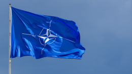 НАТО применила особую статью Североатлантического договора после инцидента с беспилотниками в Польше