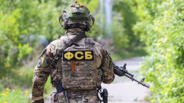 ФСБ задержала россиян, пытавшихся использовать МАХ для мошенничества