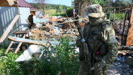 ВС РФ освободили Сосновку в Днепропетровской области