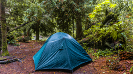 Американку держали в заложниках и насиловали в палатке в течение недели