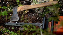 В Забайкалье задержаны вырубившие более 460 деревьев «черные дровосеки»