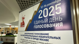 Единый день голосования начался в России: о чем нужно знать