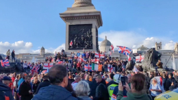 В Лондоне во время протестов против мигрантов ранения получили 26 полицейских