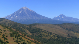 Камчатка без паники: землетрясение не остановило голосование во время выборов
