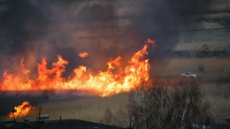 Огненная стихия: в Крыму и Ростовской области тушат крупные пожары