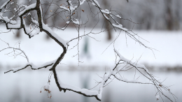 В Сибири выпал первый снег: замело Красноярский край и Туву