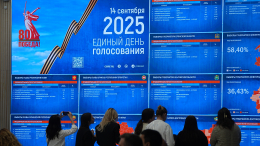 Хакеры и землетрясение не помешали: как прошли выборы в России