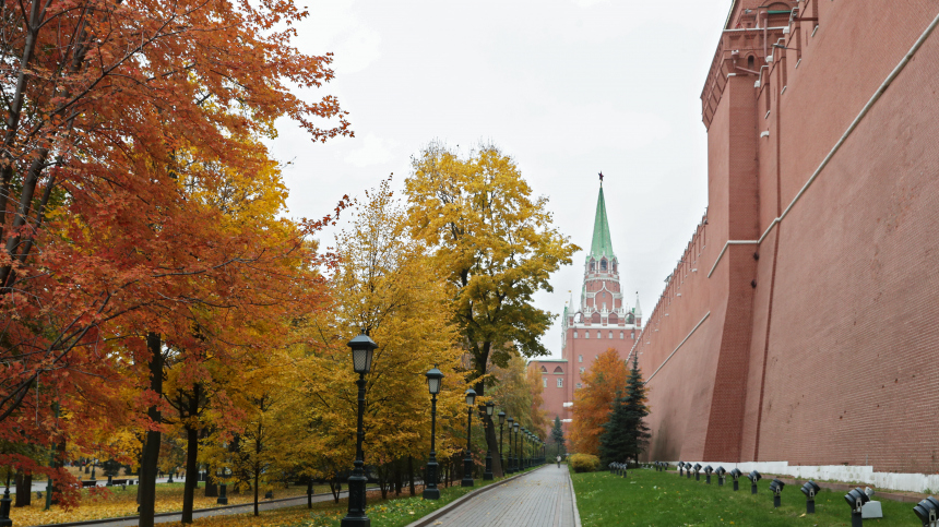 Когда в Москве выпадет первый снег в 2025 году?